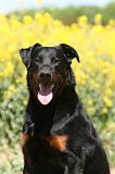 BEAUCERON 940